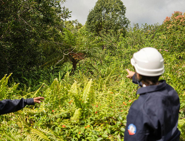 Teams monitoring the environment in an industrial development context